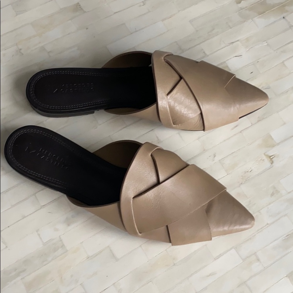 Mercedes Castillo Pointed Mule